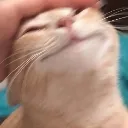 __ __