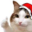 catThumbsUpXmas