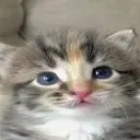 emoji_50