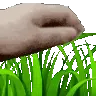 TouchGrass