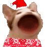 christmascat