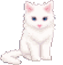 cutekitten
