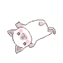 dancingcat