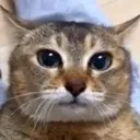 feelnoevil
