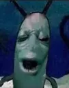 plankton