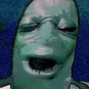 plankton