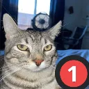 ponder_ping