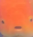 fishblankstare fishblankstare