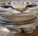 bruh