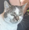 Poppy_Sideeye