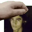 justlypet