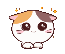 Cute_Kitty