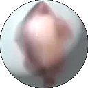 phish_globe