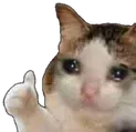 CatThumbs