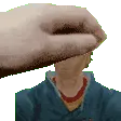 pet_precrash_curly pet_precrash_curly