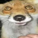 bb1394587f3e49cc86d7325665c2eeb0