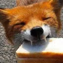 a2e4b49154fa7f8fe5d1179d11845d92