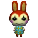 Bunnie_Stare