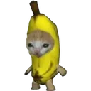 BananaCat