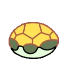 turtle_wave