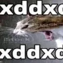 xdxdxd