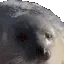 SealLeave