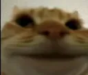 Ye