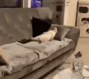 __