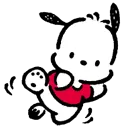 pochaccokick pochaccokick