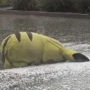 bigsad