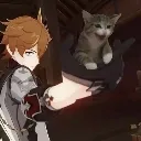 havesupportkitten