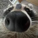 SNIFF