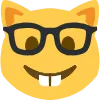 nerdyahhcat