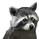 raccdance