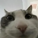 look