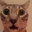 HUHCAT