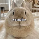 reconsider