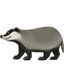 badger1
