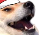 dogeKEK