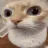 Cat_uuh