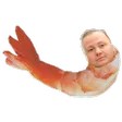 Shrimp