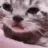 KC_meow_cry