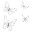 DButterfly7