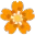 DFlower3