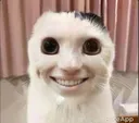 smile_cat