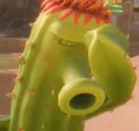 cactussighTO