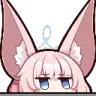 NikoPeek
