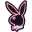 Kawaiiq
