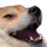 dogekek