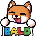 raysBALDFlag